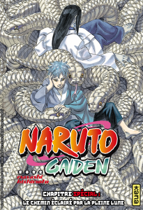 narutogaiden